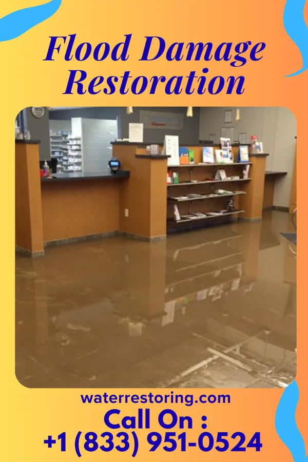 Flood Damage Restoration in Lynch, NE